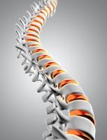 Advanced Spine & Disc image 12